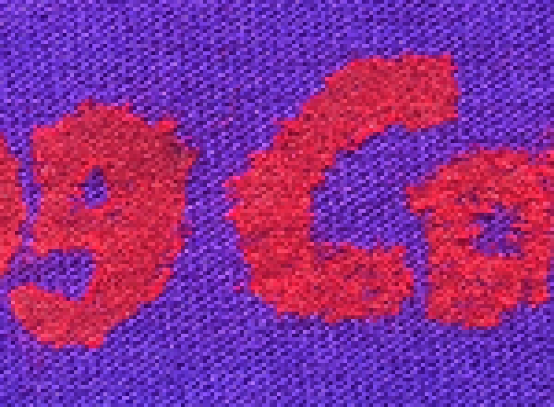 livingcartoon-logo-shirt-525px.png